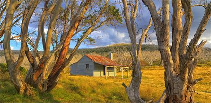 Bradley and O'briens Hut - Kosciuszko NP - NSW T (PBH4 00 12512)